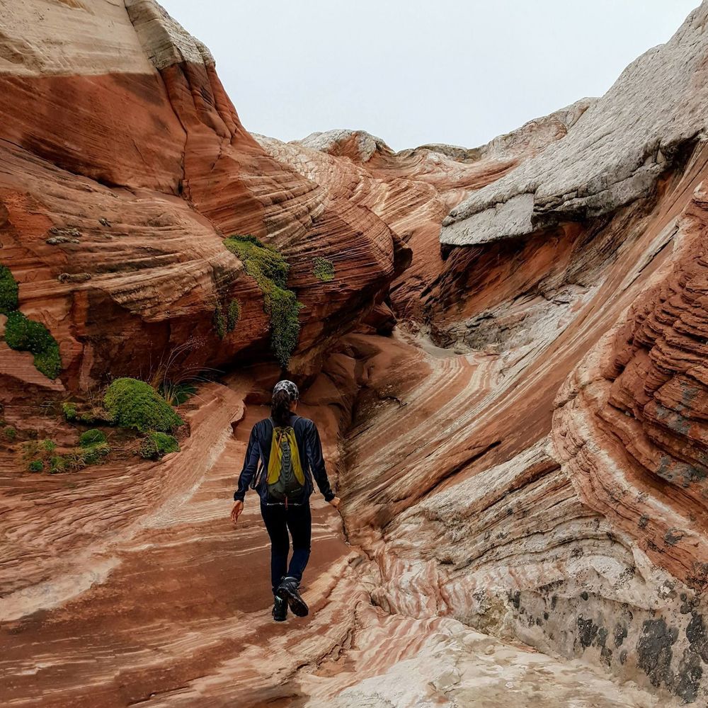 Meet your Posher, Roger